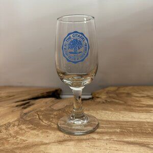 Vintage - Citadel - Wine Glass